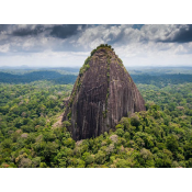 Guiana Amazonian Park (0)